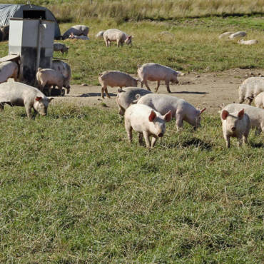 AGRO Jesenice